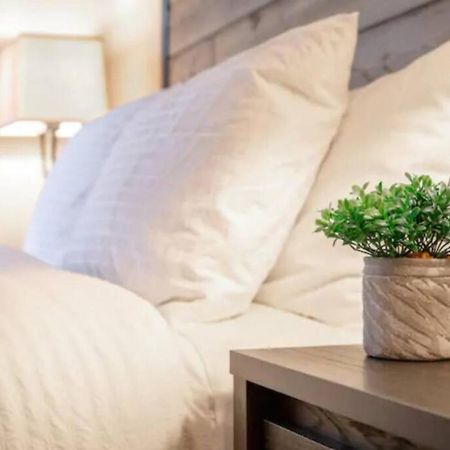 شقة Westshore South Tampa Apt المظهر الخارجي الصورة