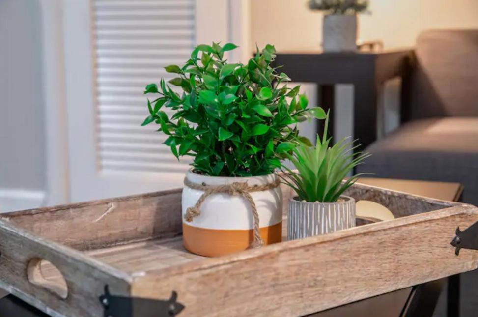 شقة Westshore South Tampa Apt المظهر الخارجي الصورة